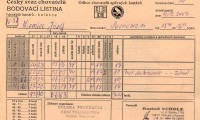 2003-kanarki-karta-ocen-sosnowiec